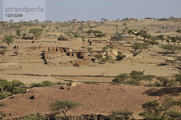 Äthiopien  Tigray-Gebiet  Gheralta-Gebirge  Hawzen  typische trockene Landschaft im Norden Äthiopiens mit niedrigen Steinhäusern  die von Akazienbäumen umgeben sind
