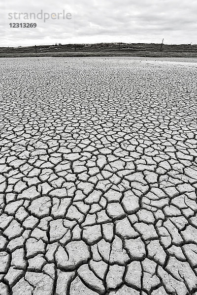 Normandie. Manche. Montmartin am Meer. Rissiger Boden am Meer wegen der Hitzewelle 2015. Bild Schwarz und Weiß.