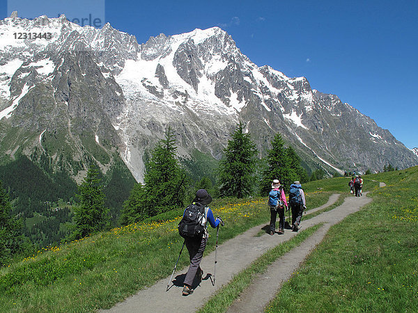 Italien  Aosta-Tal  Ferret-Tal  Courmayeur  eine Gruppe von Wanderern geht auf dem Tour du Mont Blanc Weg vor der italienischen Seite des Mont Blanc Gebirges