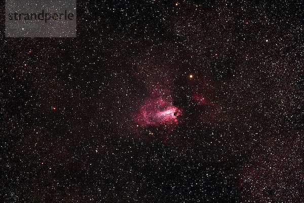 Das Zentralmassiv. Cantal. Hochebene Trizac. Das Herz des Sternbildes Schütze ist voll von berühmten Nebeln. Unter dem von der Lichtverschmutzung verschonten Himmel  der Omega-Nebel (M17).