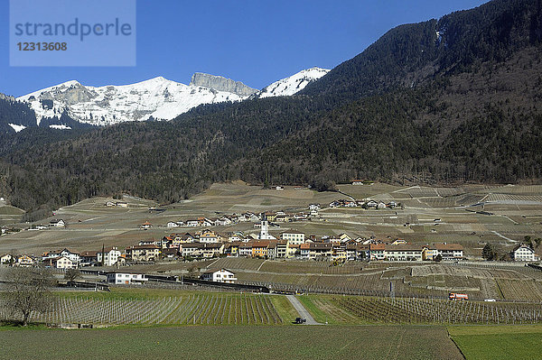 Schweiz  das Chablais  Landschaft des Weinguts