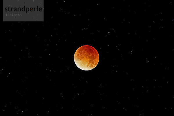 Marne. Region von Esternay. Totale Mondfinsternis vom 28. September 2015. Das Bild wurde zum Zeitpunkt der maximalen Totalität aufgenommen. Hintergrund aus Sternen.