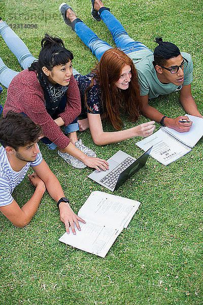 Gruppe von Studenten  die im Gras liegen und lernen