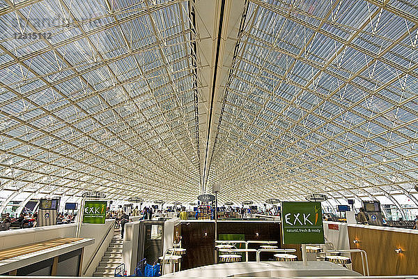 Frankreich  Paris  Flughafen Charles de Gaulle