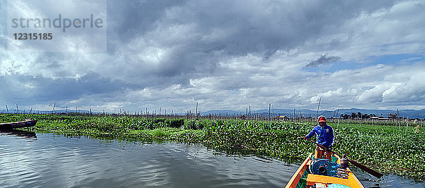 Asie Myanmar Shan-Staaten Inle-See Burma ; Südostasien ; Die Bauern bauen Pflanzen auf der Oberfläche des Sees an  sie sammeln das Unkraut am Seeboden aus den tieferen Teilen des Sees  bringen es in Booten zurück und machen daraus schwimmende Beete in ihren Gärten  die mit Bambusstangen verankert sind. Diese Gärten heben und senken sich mit den Veränderungen des Wasserspiegels und sind daher überflutungssicher.