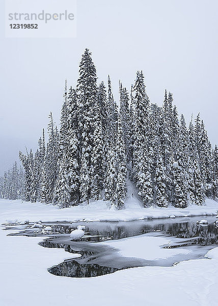 Schneebedeckter Winterwald mit zugefrorenem See  Emerald Lake  Yoho National Park  UNESCO Weltkulturerbe  British Columbia  The Rockies  Kanada  Nordamerika