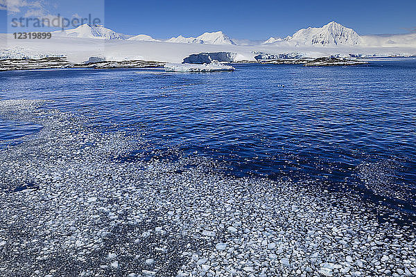 Brash-Eis  vor Anvers Island  nebliger Mount William  Gletscher und Eisberge  blauer Himmel  Antarktische Halbinsel  Antarktis  Polarregionen
