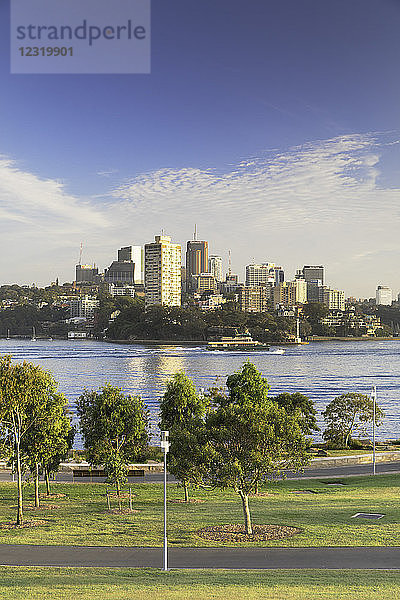 Blick über den Hafen von Sydney vom Barangaroo Reserve  Sydney  New South Wales  Australien  Pazifik