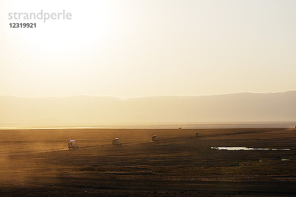 Touristenjeeps auf Safari bei Sonnenaufgang  Ngorongoro-Krater-Schutzgebiet  UNESCO-Weltkulturerbe  Tansania  Ostafrika  Afrika