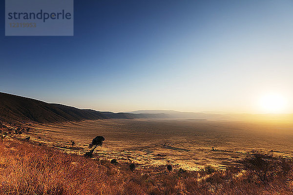 Sonnenaufgang  Ngorongoro-Krater-Schutzgebiet  UNESCO-Weltkulturerbe  Tansania  Ostafrika  Afrika