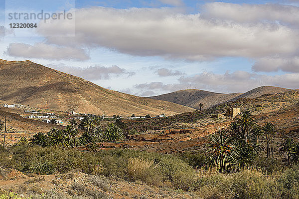 Barranco de las Penitas (Penitas-Schlucht) auf der vulkanischen Insel Fuerteventura  Kanarische Inseln  Spanien  Europa