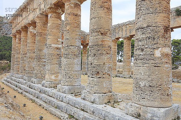 Säulen des Tempels von Segesta  Calatafimi  Provinz Trapani  Sizilien  Italien  Europa