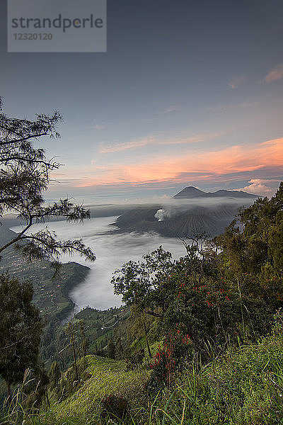 Morgenblick auf den Mount Bromo  Ost-Java  Indonesien  Südostasien  Asien