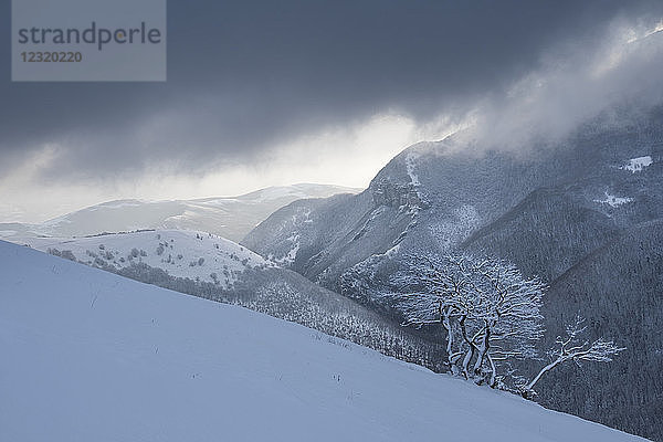 Winter in den Apenninen  Motette  Umbrien  Italien  Europa