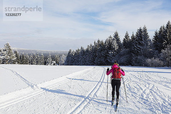 Skilanglaufgebiet  Liberec  Tschechische Republik  Europa