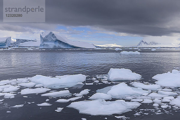 Eisberge und Gletscher vor Cuverville Island  Errera-Kanal  Danco-Küste  Antarktische Halbinsel  Antarktis  Polarregionen