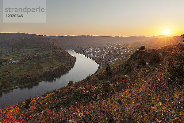 Moselschleife bei Sonnenuntergang in der Nähe der Stadt Kröv  Rheinland-Pfalz  Deutschland  Europa