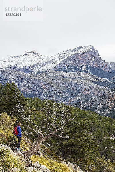 Serra de Tramuntura  Wanderer auf einem Weg oberhalb von Soller  Mallorca  Balearische Inseln  Spanien  Mittelmeer  Europa