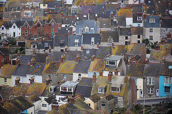 Häuser auf der Isle of Portland  Dorset  England  Vereinigtes Königreich  Europa