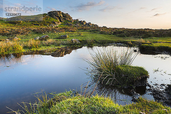 Tor im Dartmoor-Nationalpark  Devon  England  Vereinigtes Königreich  Europa