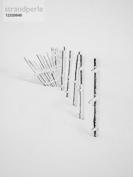 Eine Ansammlung von Reif auf dem Skizaun während eines Whiteouts in den Cairngorms  Schottland  Vereinigtes Königreich  Europa
