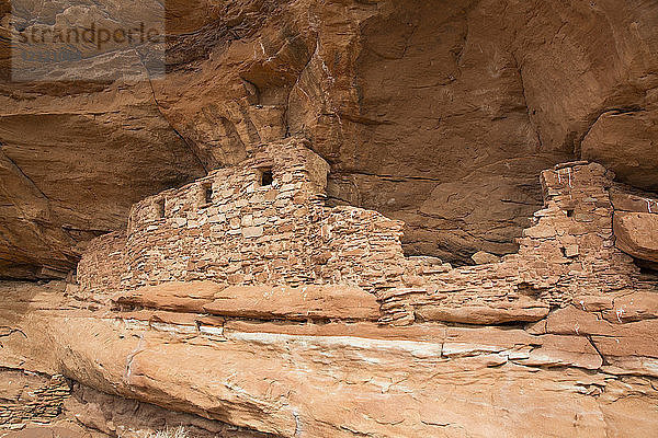Four Windows Ruins  Ancestral Pueblo  bis zu 1000 Jahre alt  Lower Fish Creek  Bears Ears National Monument  Utah  Vereinigte Staaten von Amerika  Nord Amerika