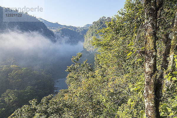 Blick von einem weniger bekannten Aussichtspunkt über das Gebiet von Semuc Champey  Guatemala  Mittelamerika