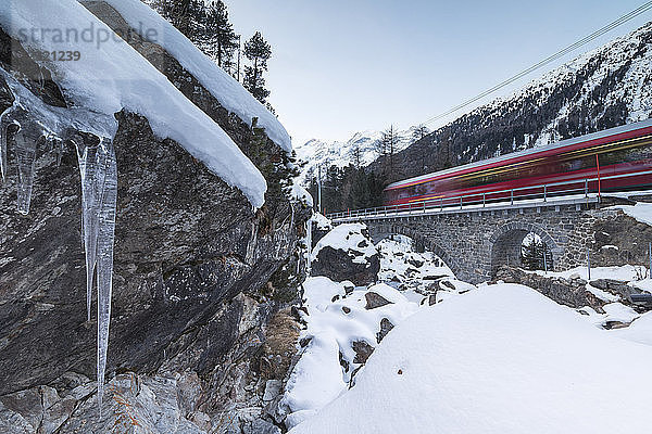 Bernina Express Zug in der verschneiten Landschaft  Morteratsch  Engadin  Kanton Graubünden  Schweiz  Europa