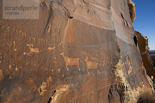 Petrogylph  Prozessionsplatte  Butler Wash  Shash Jaa National Monument  Utah  Vereinigte Staaten von Amerika  Nordamerika