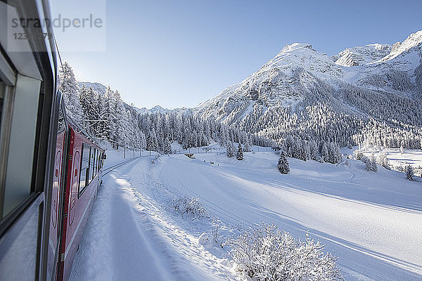 Bernina Express Zug  Preda Bergun  Albulatal  Kanton Graubünden  Schweiz  Europa