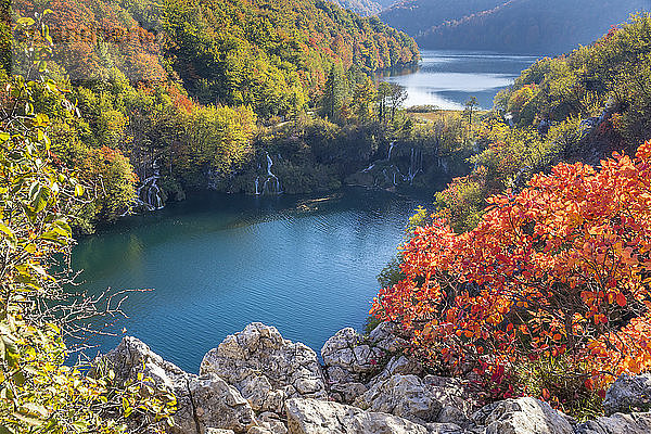 Blick von einem Aussichtspunkt über die Unteren Seen im Nationalpark Plitvicer Seen  UNESCO-Weltkulturerbe  Kroatien  Europa