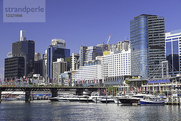 Darling Harbour  Sydney  Neusüdwales  Australien  Pazifik