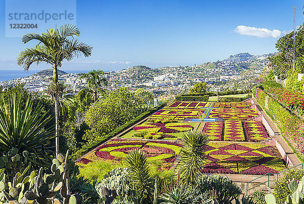 Formeller Garten im Botanischen Garten von Madeira (Jardim Botanico)  oberhalb der Hauptstadt Funchal  Madeira  Portugal  Atlantik  Europa