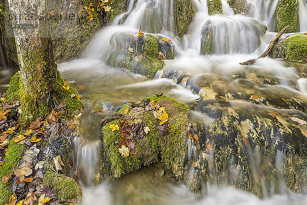 Kleine Kaskaden an den Oberen Seen im Nationalpark Plitvicer Seen  UNESCO-Welterbe  Kroatien  Europa