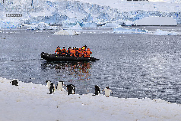 Eselspinguine (Pygoscelis papua) und Touristen auf einem Zodiac  Cuverville Island  Antarktische Halbinsel  Antarktis  Polarregionen