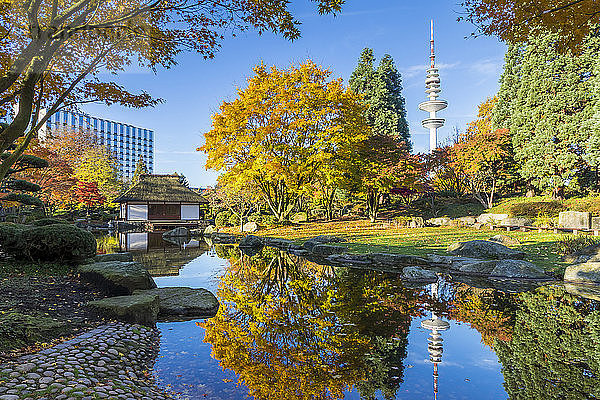 Der Japanische Garten im Park Planten un Blomen in Hamburg  Deutschland  Europa