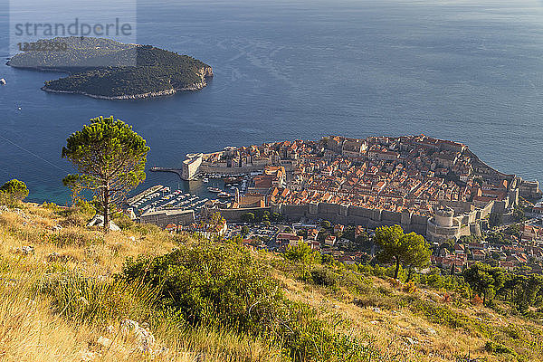 Erhöhter Blick über die Altstadt von Dubrovnik und die Insel Lokrum vom Wanderweg zum Aussichtspunkt auf dem Srd-Hügel  Dubrovnik  Kroatien  Europa