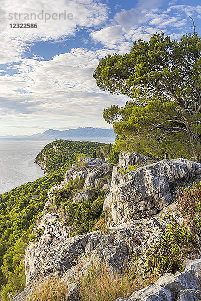 Blick über das Kap Osejava bei Makarska  Kroatien  Europa