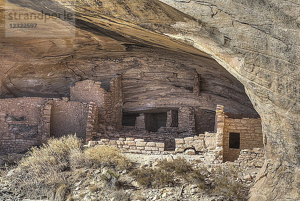 Butler Wash Achaeological Ruin  Ancestral Pueblo  Butler Wash  Shash Jaa National Monument  Utah  Vereinigte Staaten von Amerika  Nordamerika