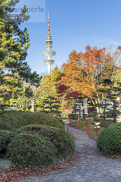 Blick vom Japanischen Garten in Planten un Blomen auf den Fernsehturm im Herbst  Hamburg  Deutschland  Europa