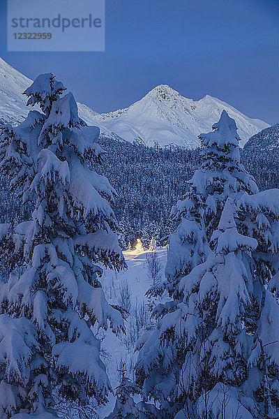 Eine entfernte Schwarzfichte (Picea Mariana) leuchtet von den Lichtern um sie herum  frischer Schnee bedeckt sie und die umliegenden Bäume und Berge  tiefblaue Dämmerung erfüllt die Szene  Moose Pass  Kenai Halbinsel  Süd-Zentral-Alaska; Alaska  Vereinigte Staaten von Amerika