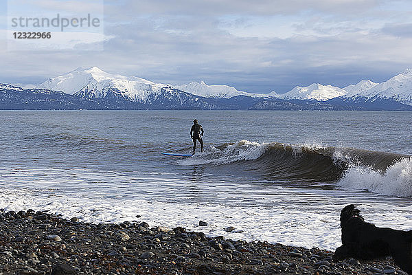 Surfer in der Kachemak Bay  Süd-Zentral-Alaska; Homer  Alaska  Vereinigte Staaten von Amerika