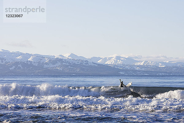 Mann beim Surfen in der Kachemak Bay  Süd-Zentral-Alaska; Homer Spit  Alaska  Vereinigte Staaten von Amerika