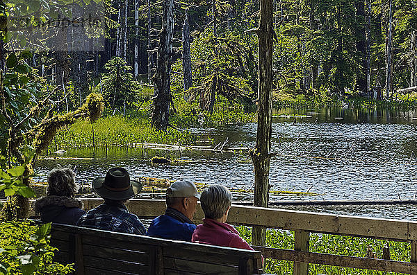 Touristen entspannen sich auf einer Aussichtsbank mit Blick auf einen Teich am Forest Trail in der Nähe von Bartlett Cove  Glacier Bay National Park and Preserve  Südost-Alaska; Alaska  Vereinigte Staaten von Amerika