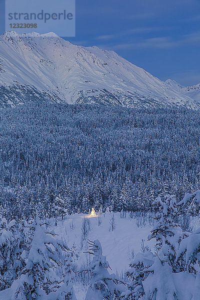 Eine kleine  mit Neuschnee bedeckte Schwarzfichte (Picea Mariana) wird von bunten Lichterketten beleuchtet  Kenai-Halbinsel  Süd-Zentral-Alaska; Alaska  Vereinigte Staaten von Amerika