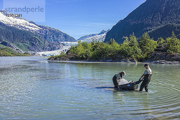 Parkwächter am Mendenhall-Gletscher in der Nähe von Juneau  Alaska  transportieren einen Block aus 200 Jahre altem Eis zum Besucherzentrum  um ihn dort auszustellen; Juneau  Alaska  Vereinigte Staaten von Amerika