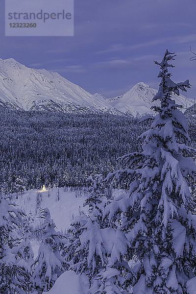 Eine kleine  mit Neuschnee bedeckte Fichte wird von bunten Lichterketten unter dem Schnee in einem verschneiten Fichtenwald in der Dämmerung beleuchtet  im Hintergrund die schneebedeckten Kenai Mountains  Kenai-Halbinsel  Süd-Zentral-Alaska; Alaska  Vereinigte Staaten von Amerika
