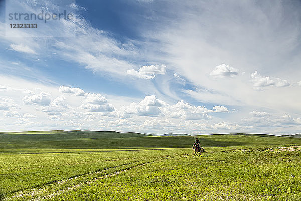 Ein Pferd und ein Reiter auf den weiten  offenen Grasfeldern; Ulaanbattar  Ulaanbaatar  Mongolei