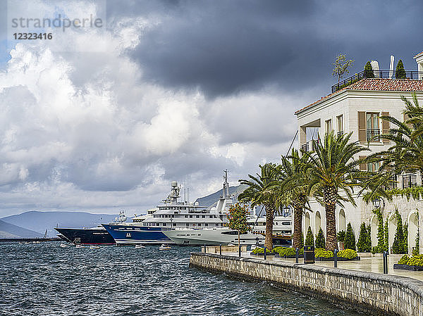 Porto Montenegro  in der Bucht von Kotor mit Kreuzfahrtschiffen  die im Hafen anlegen; Montenegro