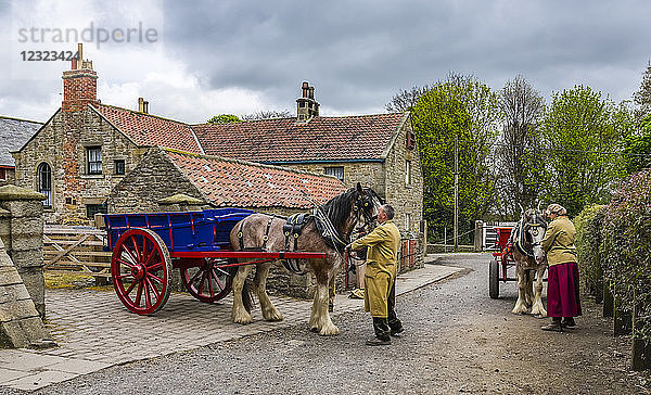Pferde mit bunten Karren und Menschen  die sie versorgen  Freilichtmuseum; Beamish  County Durham  England